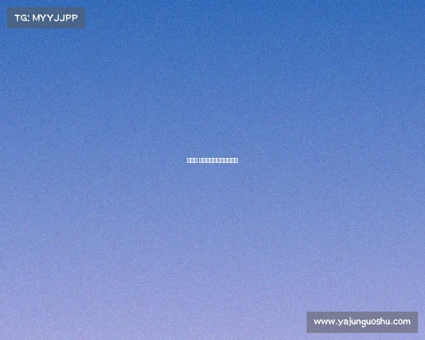 匹兹堡 体育赛事、匹兹堡职业赛